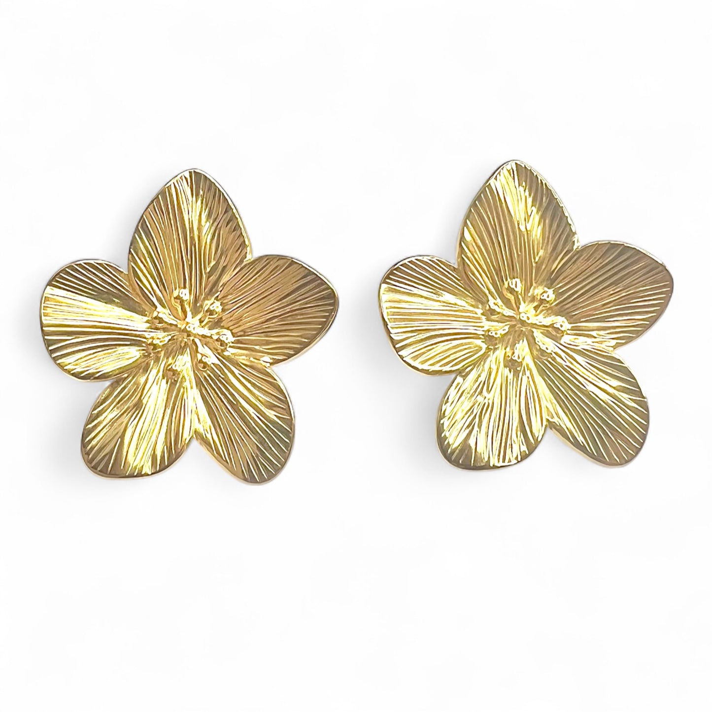 Boucles d'oreilles acier inoxydable Romy