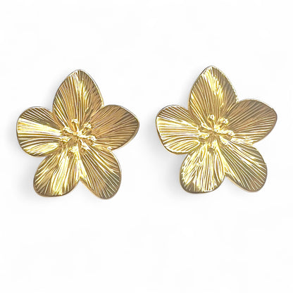 Boucles d'oreilles acier inoxydable Romy