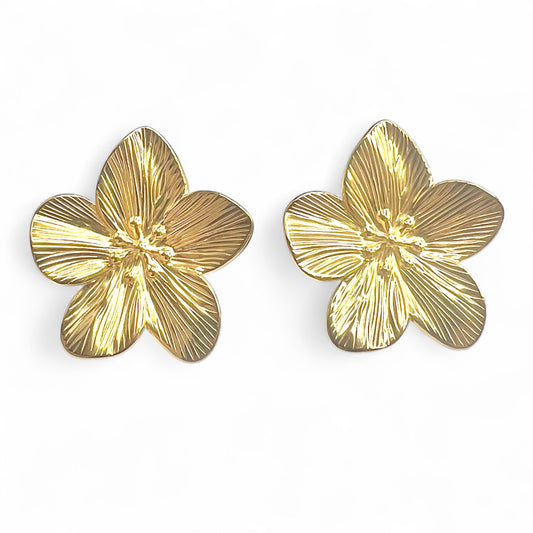 Boucles d'oreilles acier inoxydable Romy