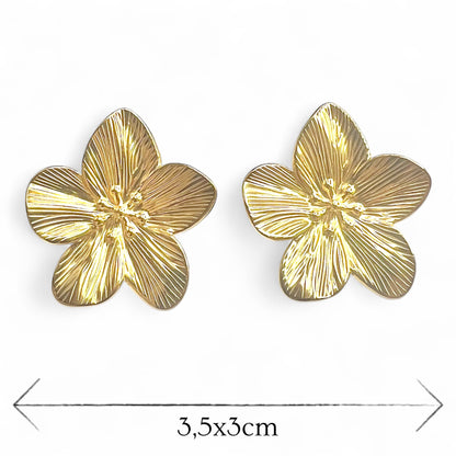Boucles d'oreilles acier inoxydable Romy